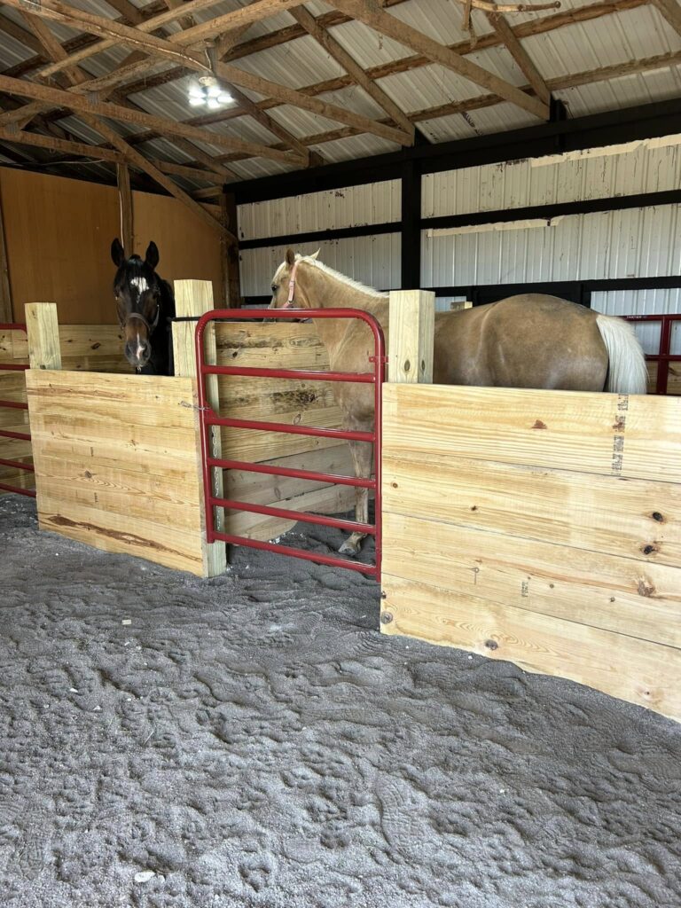 Secure Pet Fence Installation Lafayette: Keep Pets Safe