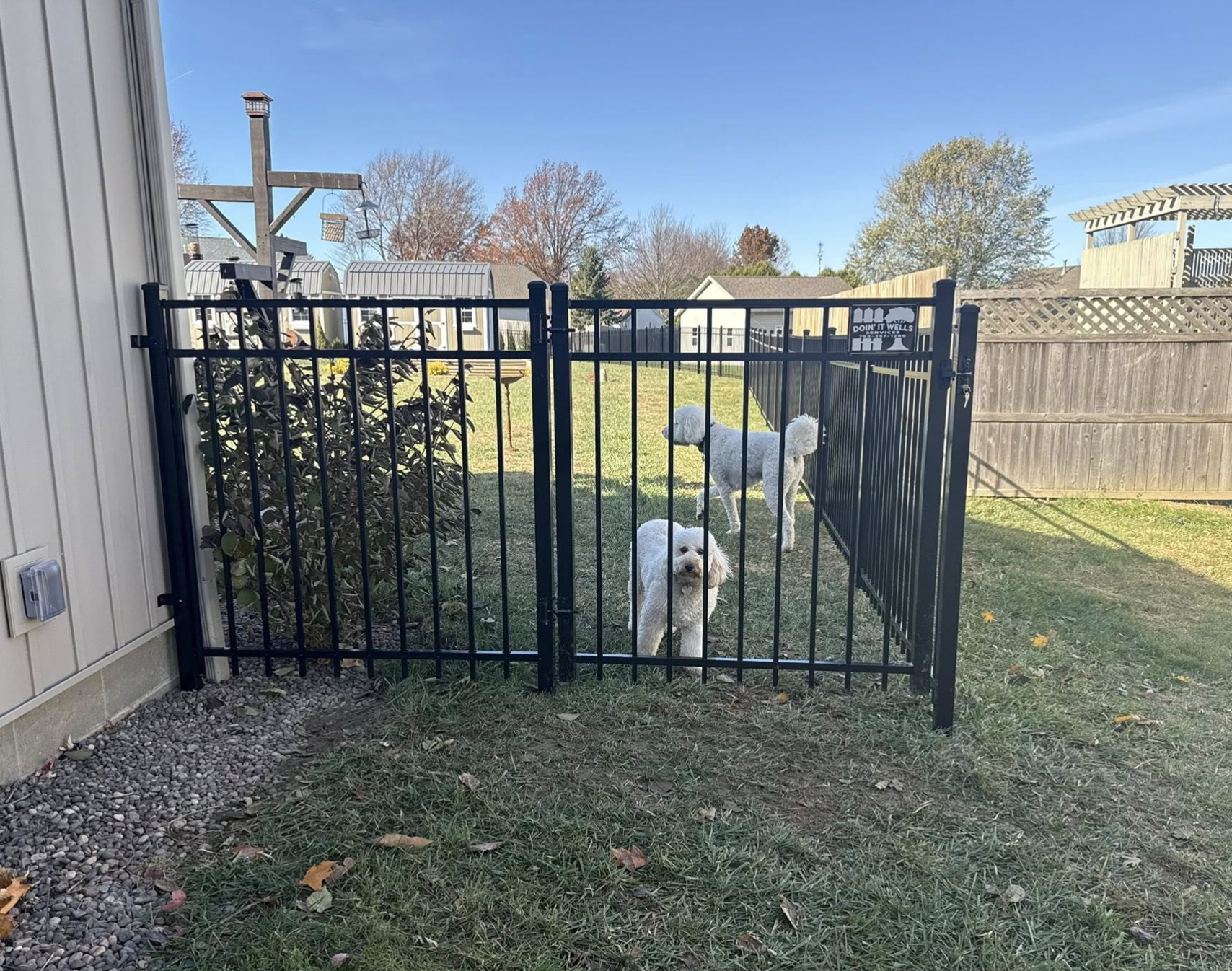 Lafayette Pet Fences | Doin' It Wells