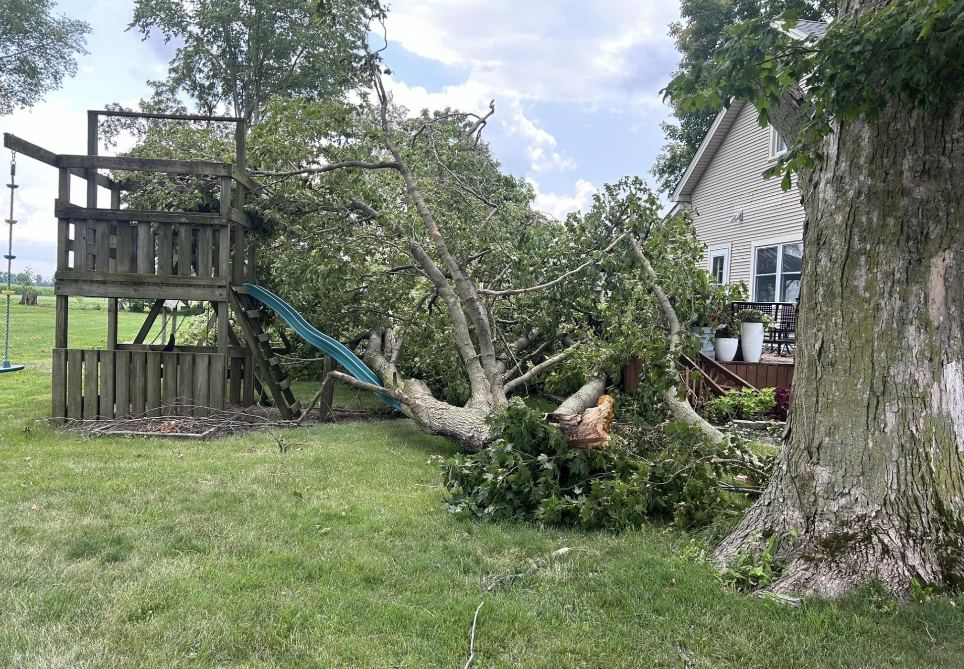 Lafayette Emergency Tree Service. | Doin' It Wells
