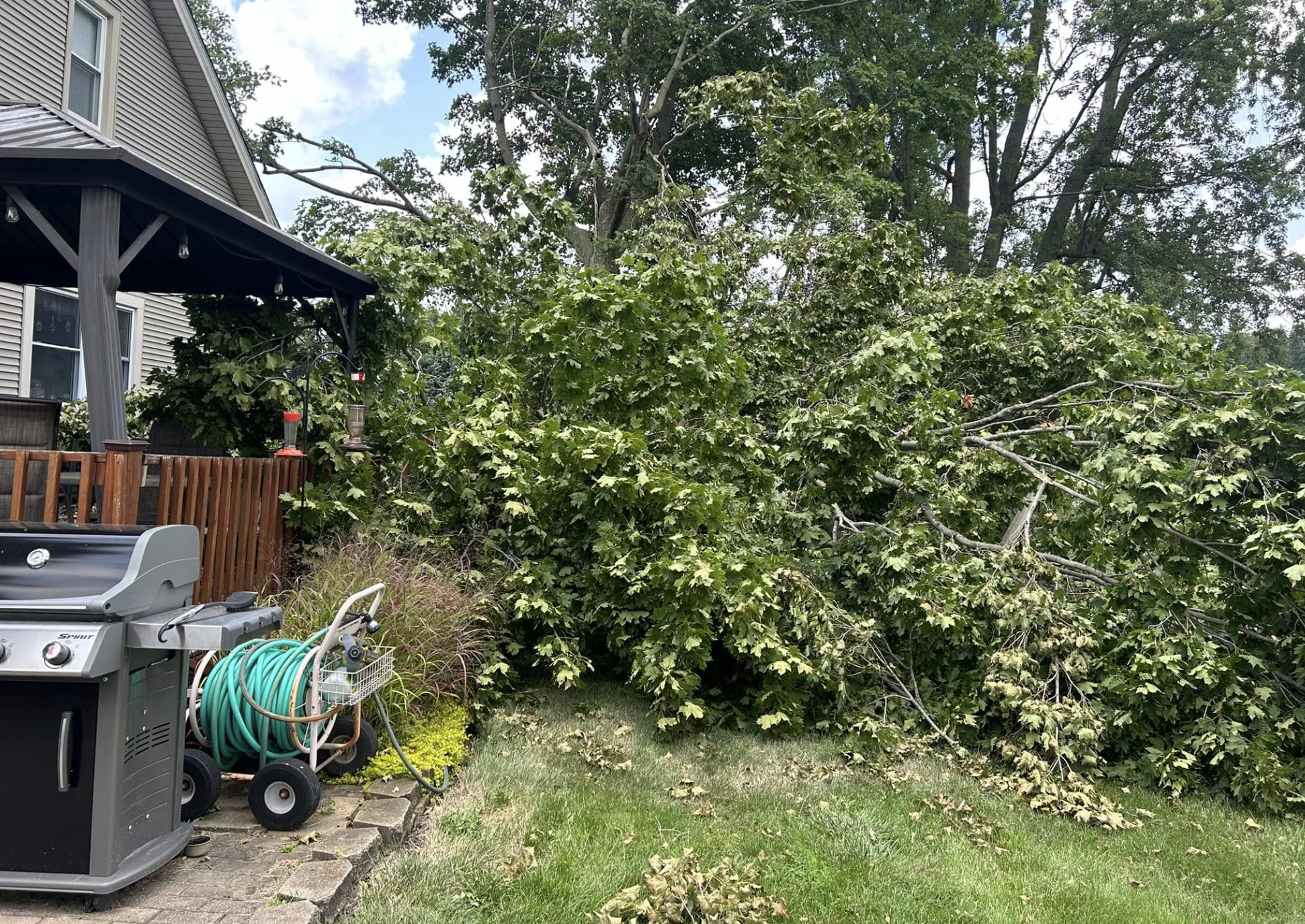 Lafayette Emergency Tree Service. | Doin' It Wells