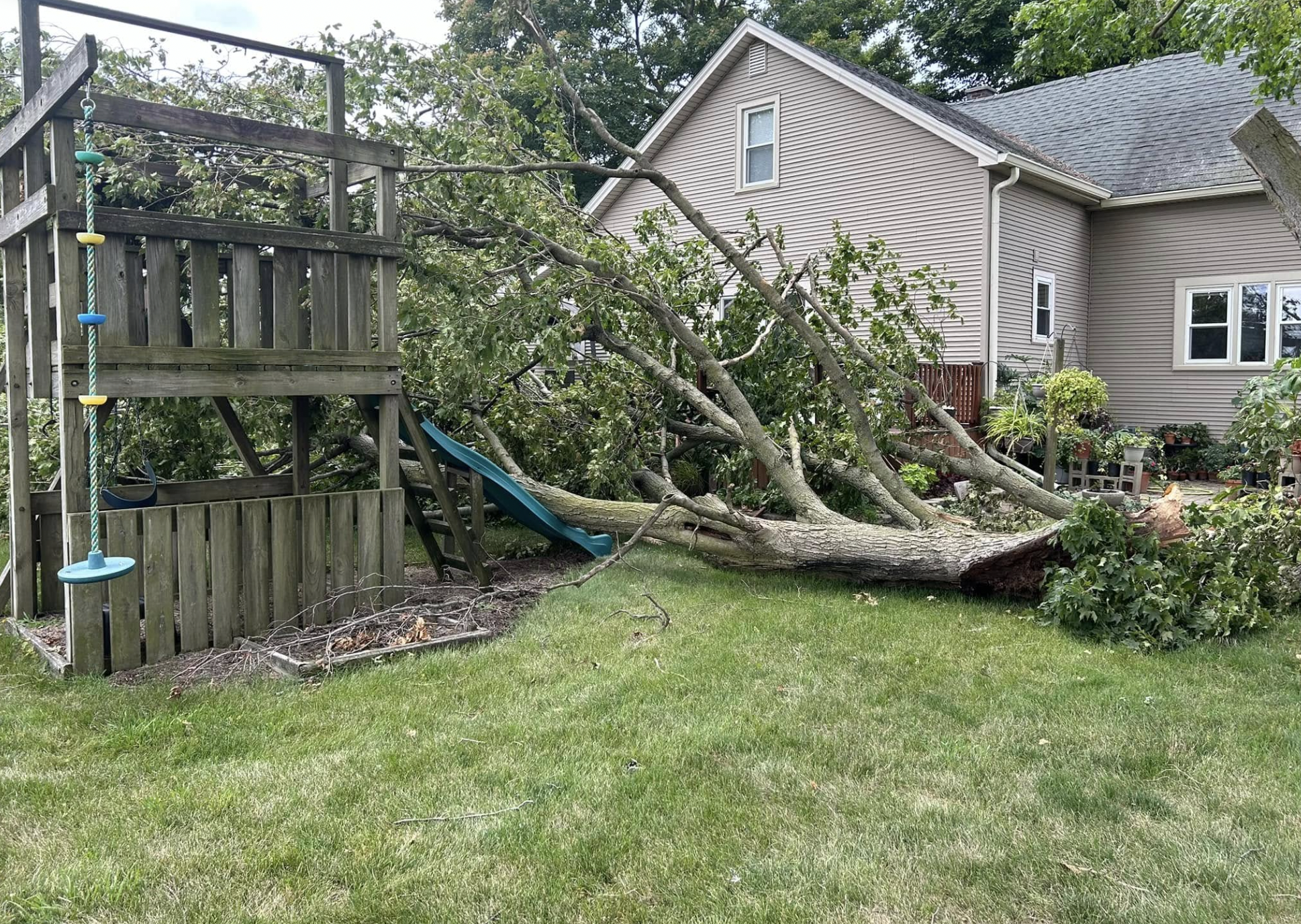 Lafayette Emergency Tree Service. | Doin' It Wells
