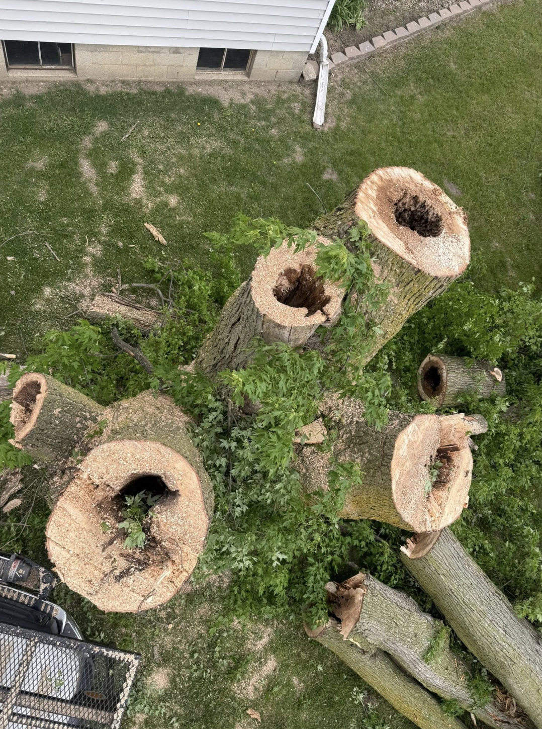 Lafayette Stump Grinding Service | Doin' It Wells