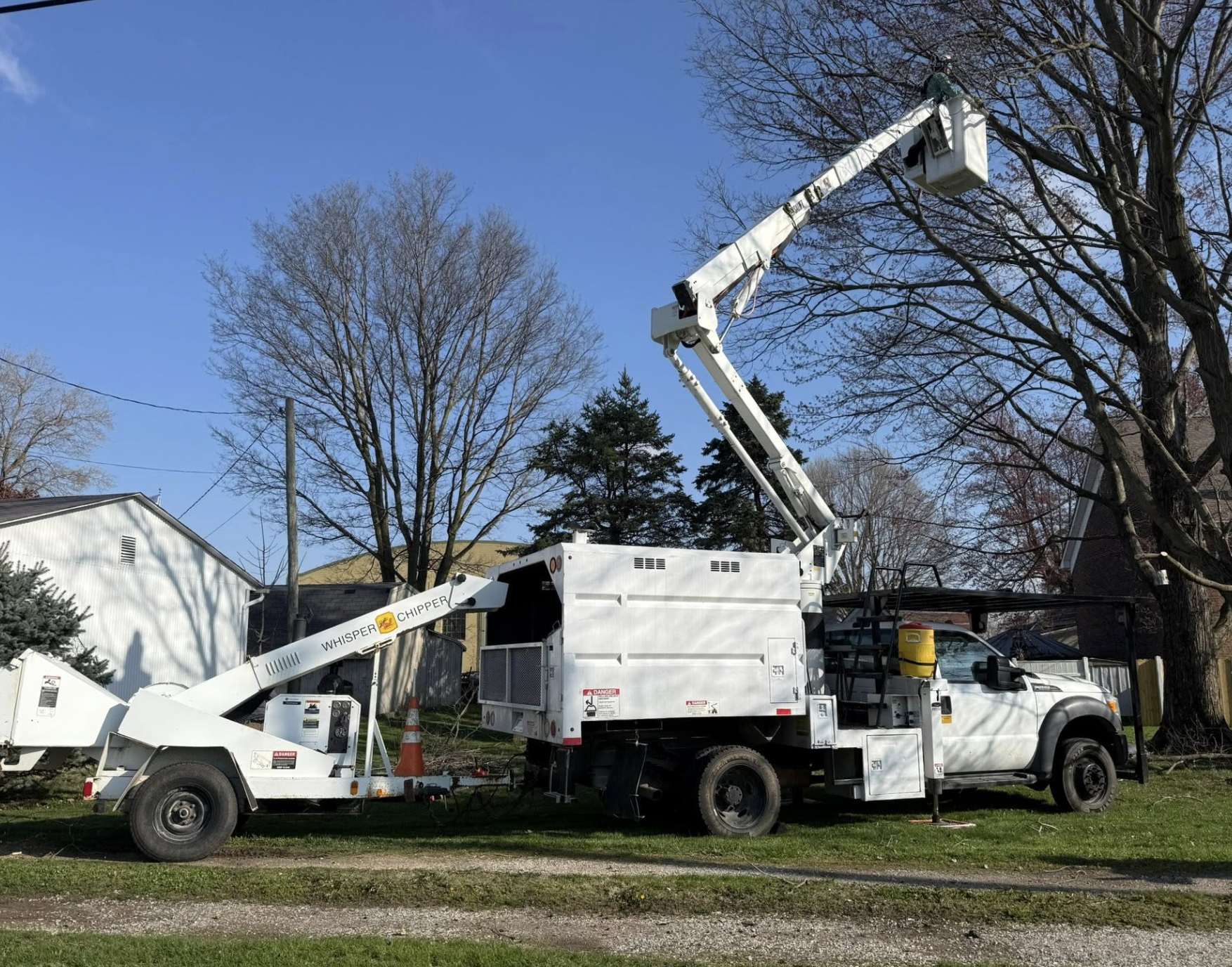 Lafayette Tree Trimming Service