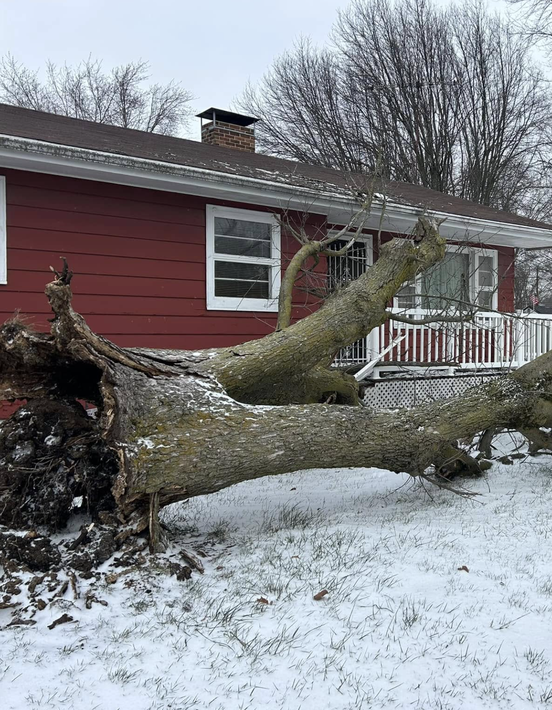 Lafayette Storm Damage Cleanup | Doin' It Wells